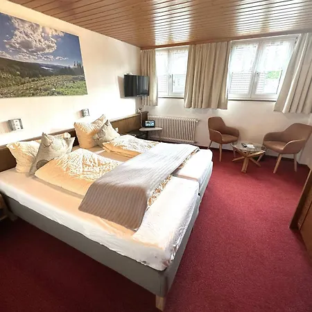 Hotel Zartenbach 3*