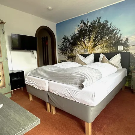 호텔 Zartenbach 3*