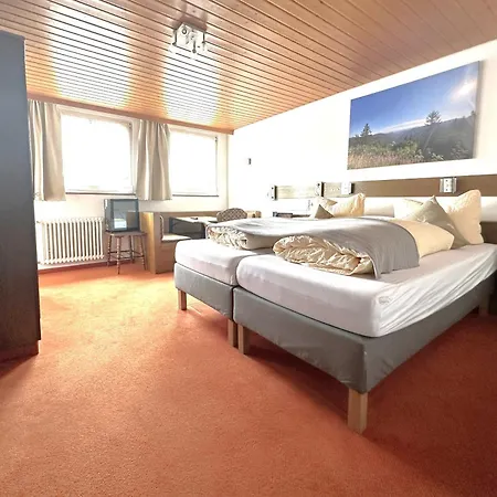 Zartenbach Hotel 3*