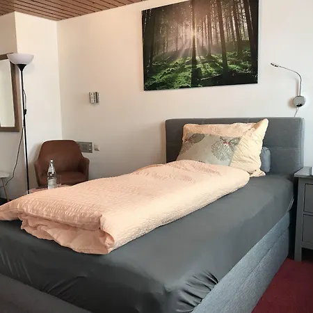 Hotel Zartenbach 3*