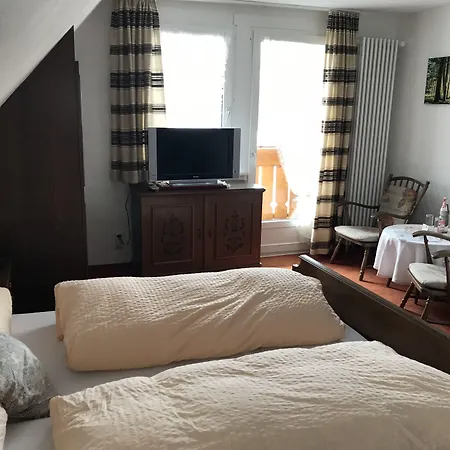 Zartenbach מלון הינטרצארטן