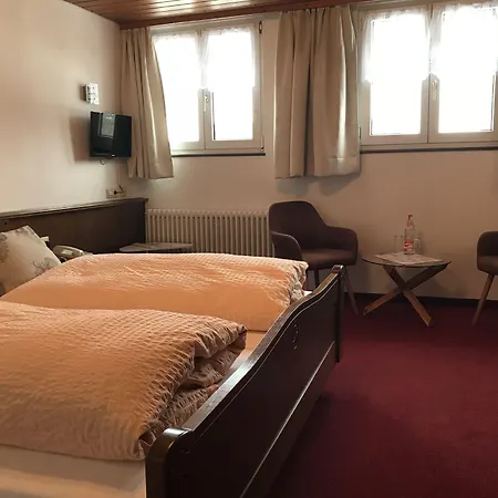 Hotel Zartenbach 3*