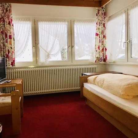 מלון Zartenbach 3*