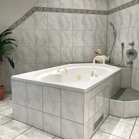 Zartenbach Hotel 3*