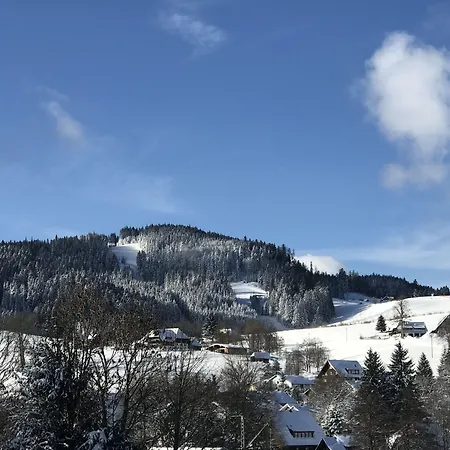 Zartenbach Hinterzarten