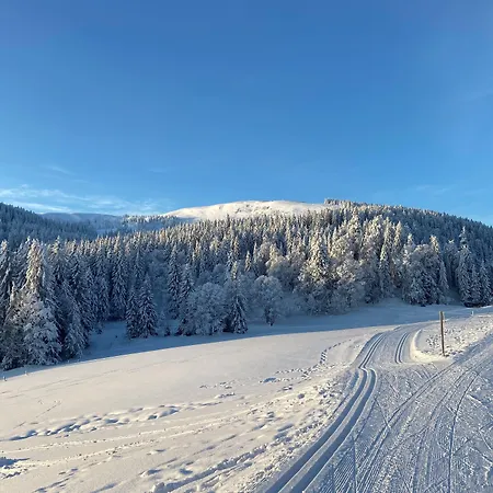Zartenbach