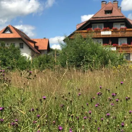 Hotel Zartenbach