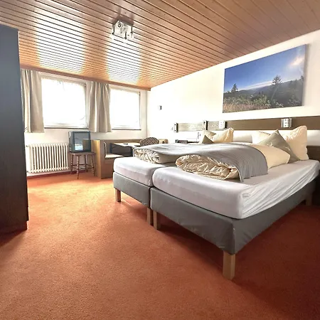 Hotel Zartenbach 3*