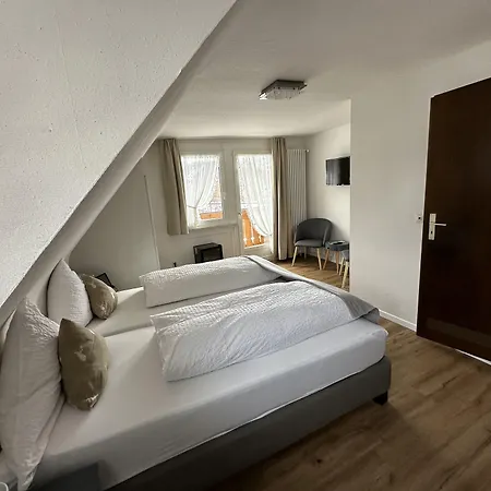 Zartenbach Hotel 3*
