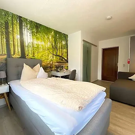 Zartenbach 3* Hinterzarten