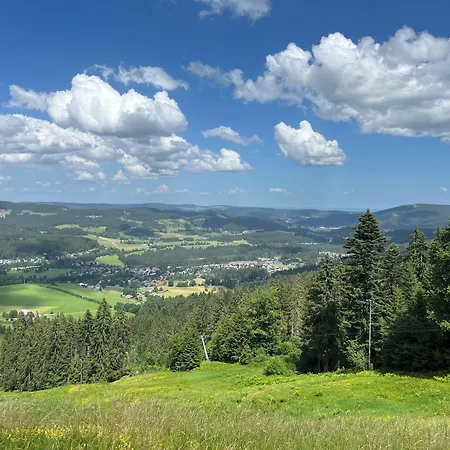 Zartenbach Hinterzarten