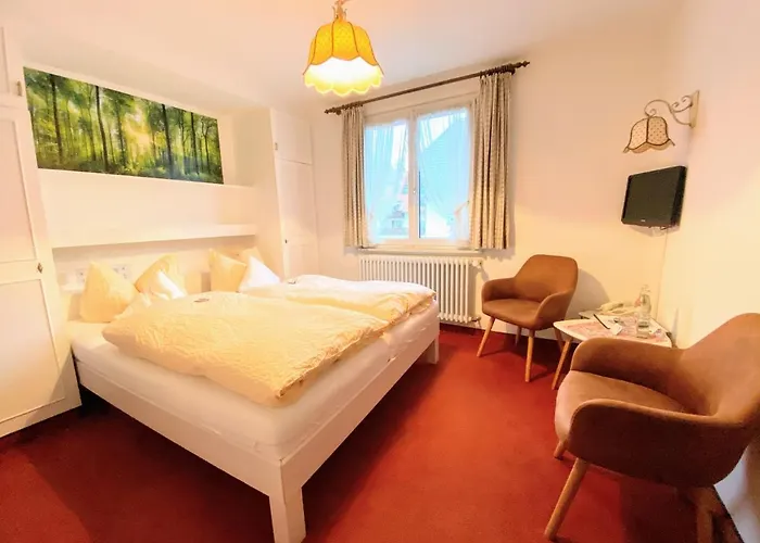 Zartenbach Hotel Hinterzarten