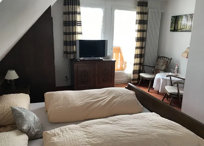 Zartenbach Hotel Hinterzarten