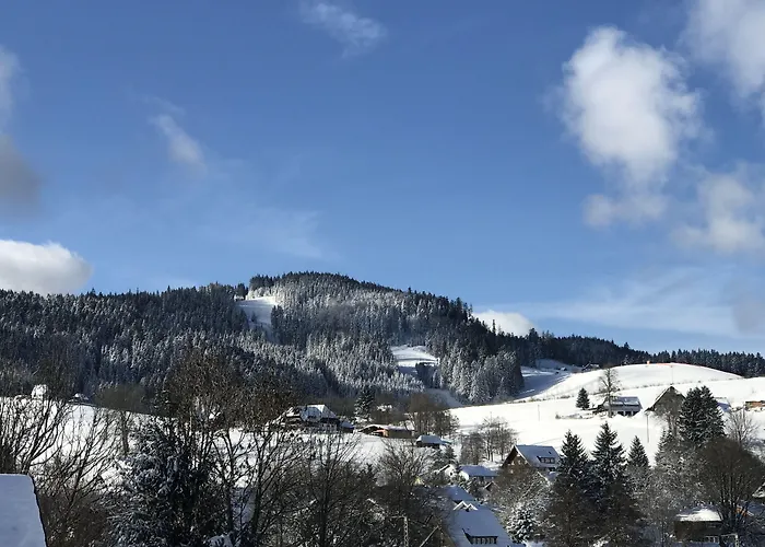 Zartenbach Hinterzarten